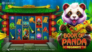 7m vn cn
